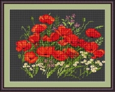 g275-amapolas-en-fondo-negro1