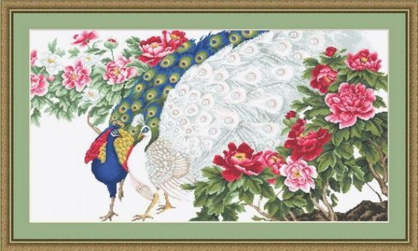 g462-pavos-reales-con-flores7